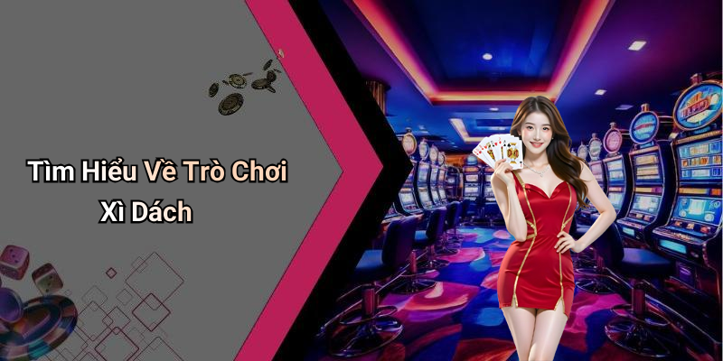Tìm Hiểu Về Trò Chơi Xì Dách