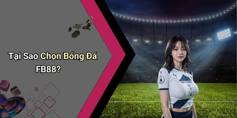 Tại Sao Chọn Bóng Đá FB88?