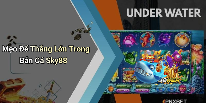 Mẹo Để Thắng Lớn Trong Bắn Cá Sky88