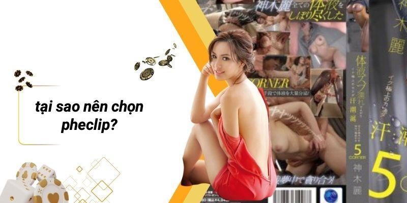 Tại Sao Nên Chọn PHECLIP?