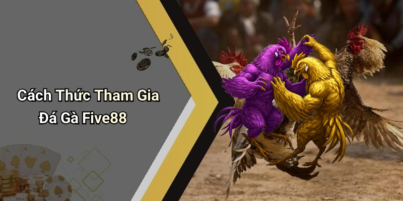 Cách Thức Tham Gia Đá Gà Five88