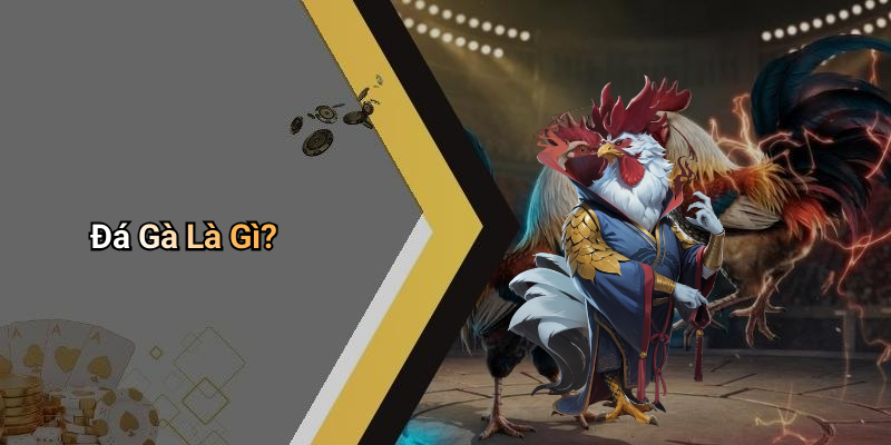 Đá Gà Là Gì?