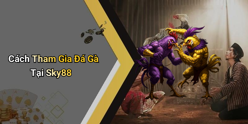 Cách Tham Gia Đá Gà Tại Sky88
