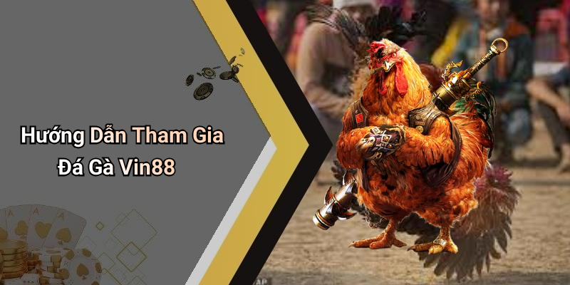 Hướng Dẫn Tham Gia Đá Gà Vin88