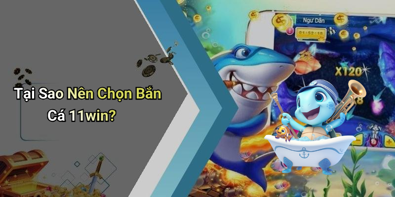Tại Sao Nên Chọn Bắn Cá 11win?