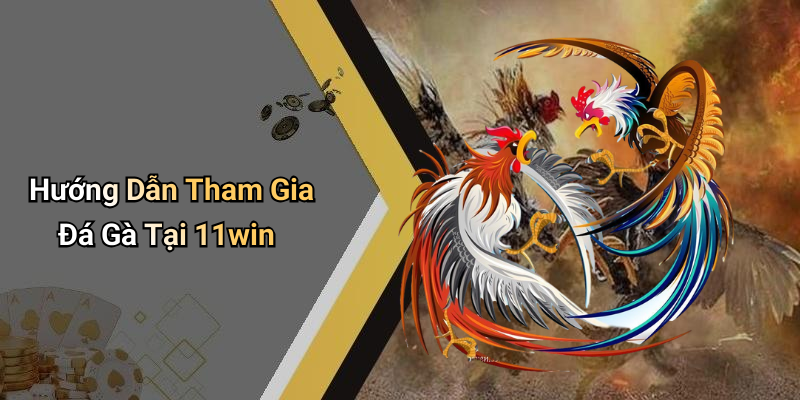 Hướng Dẫn Tham Gia Đá Gà Tại 11win