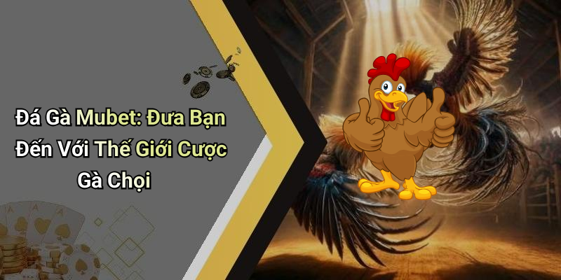 Đá Gà Mubet: Đưa Bạn Đến Với Thế Giới Cược Gà Chọi