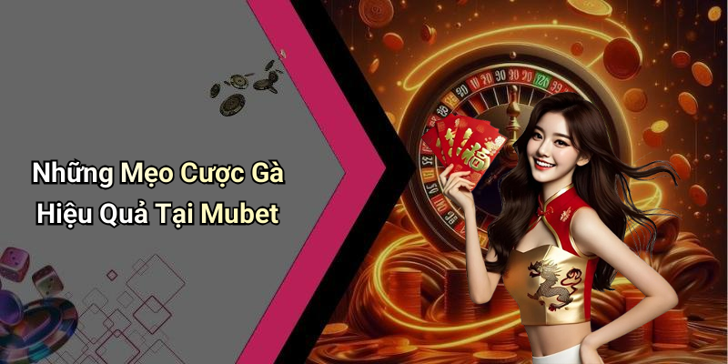 Những Mẹo Cược Gà Hiệu Quả Tại Mubet