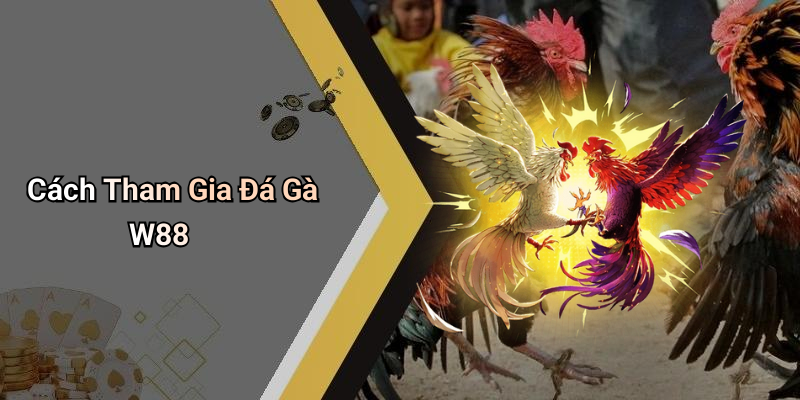 Cách Tham Gia Đá Gà W88