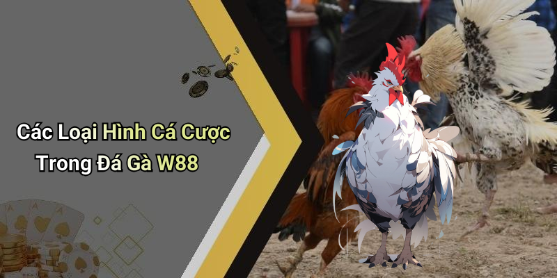 Các Loại Hình Cá Cược Trong Đá Gà W88