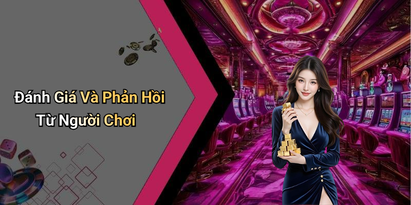 Đánh Giá Và Phản Hồi Từ Người Chơi