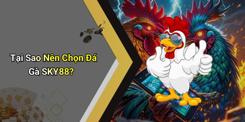 Tại Sao Nên Chọn Đá Gà SKY88?