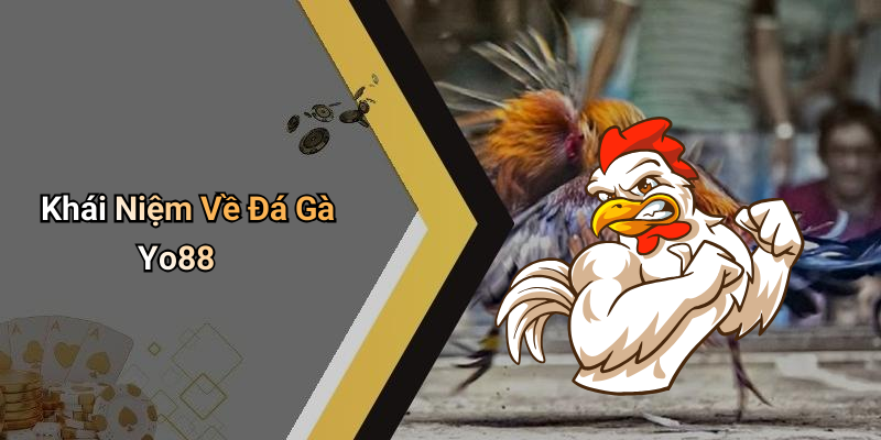 Khái Niệm Về Đá Gà Yo88