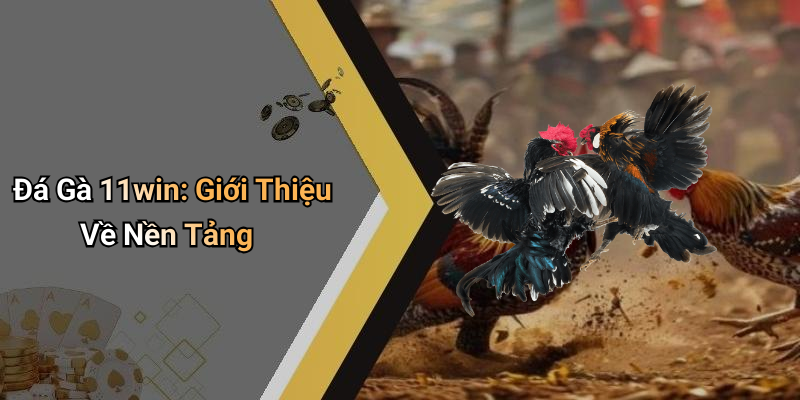 Đá Gà 11win: Giới Thiệu Về Nền Tảng