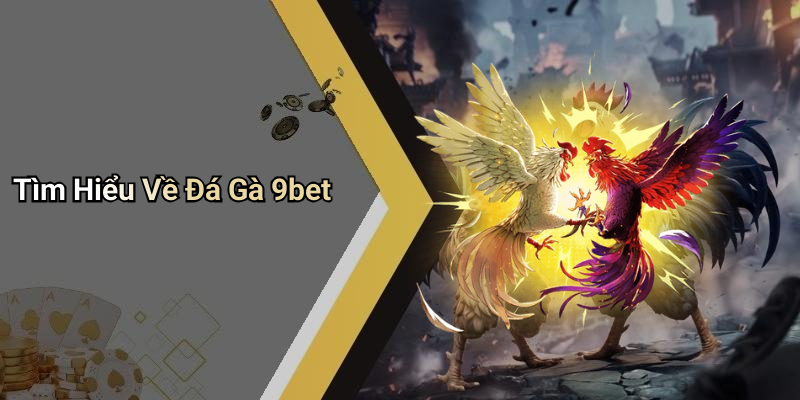 Tìm Hiểu Về Đá Gà 9bet