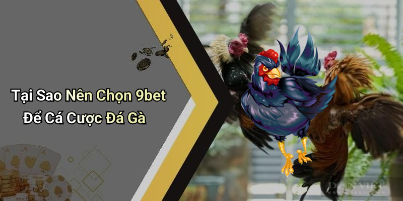 Tại Sao Nên Chọn 9bet Để Cá Cược Đá Gà