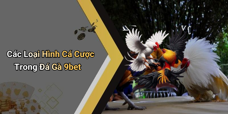 Các Loại Hình Cá Cược Trong Đá Gà 9bet